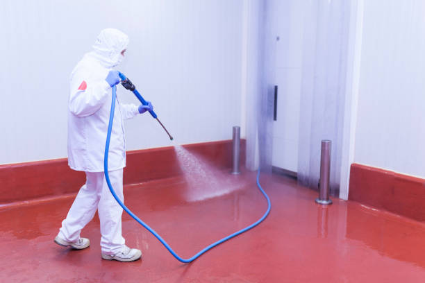 Best Winterizing Services  in Mount Gay Shamrock, WV